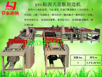 pvcʯ���컨���Զ���ߴ����